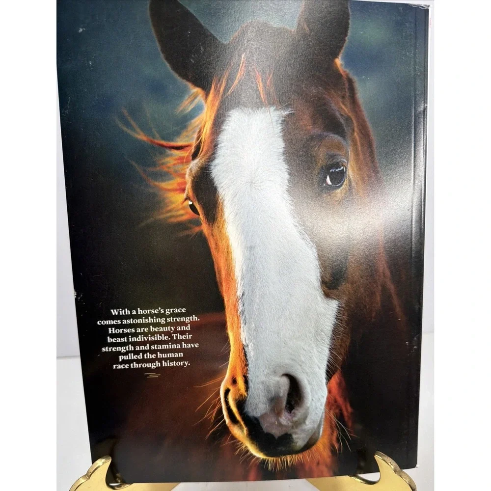 Life June 2026 Magazine Horses Power and Grace Human-Horse Bond Why We Love